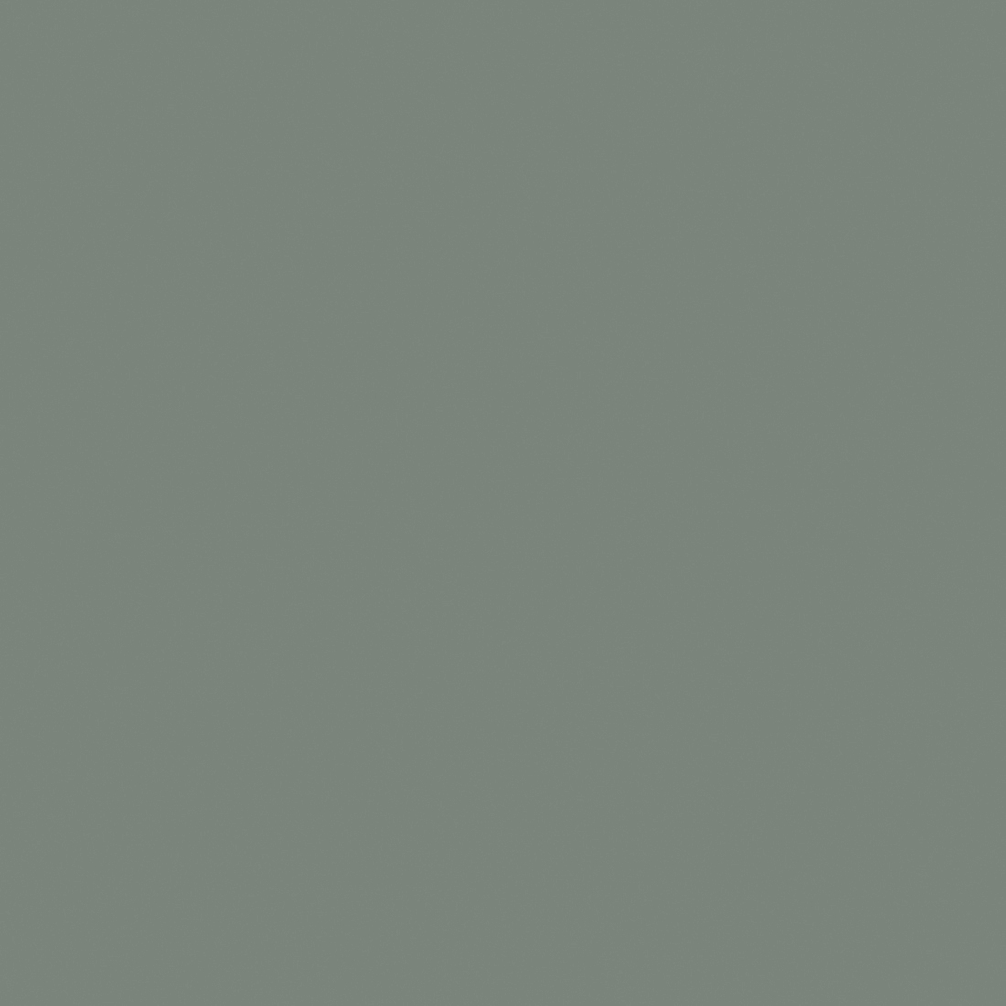 Aloe Green Muster